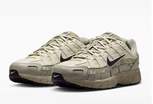  Nike P-6000