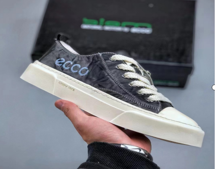 Ecco Sko