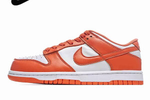 Nike Dunk SB Low Dunk Low