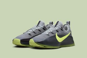 Nike LeBron TR 1