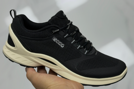 ECCO Biom