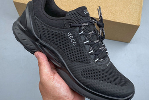 ECCO Biom