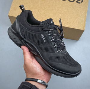 ECCO Biom