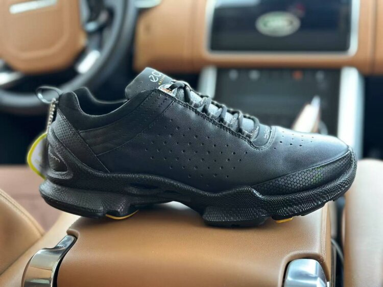 Ecco E-01-12