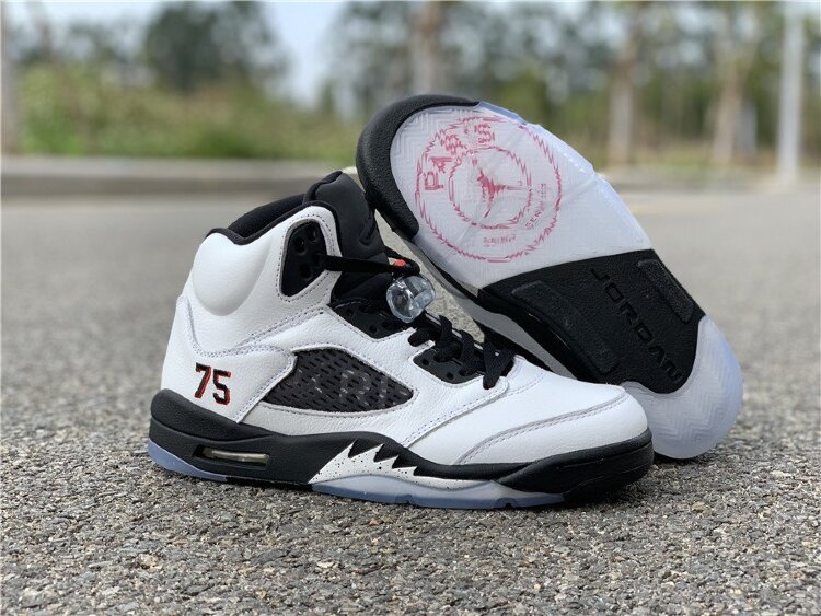 Nike Air Jordan 5