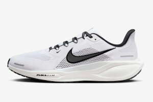 Nike Air Zoom Pegasus 41