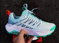 Nike Wildhorse 10