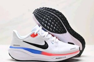 Nike Air Zoom Pegasus 41